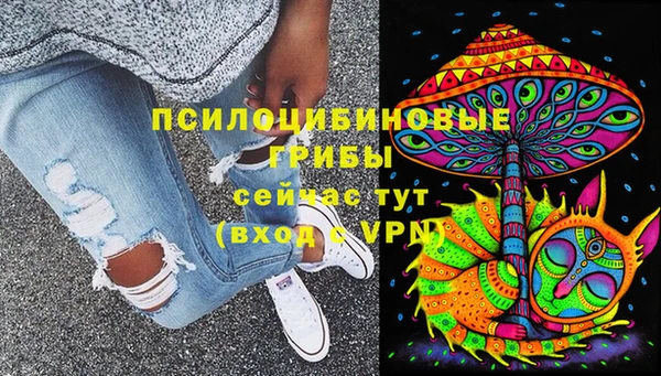 2c-b Белокуриха
